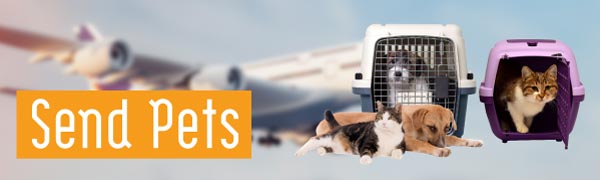 Pets Banner